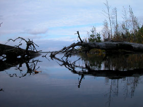 05.10.2003 15:41 lake Chornoe  оз. Черное