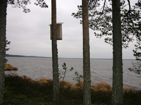 09.12.2006 14:42 lake Chornoe  оз. Черное