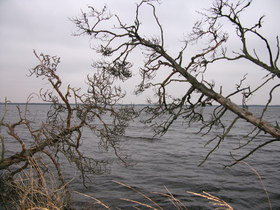 09.12.2006 14:56 lake Chornoe  оз. Черное