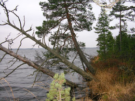 09.12.2006 14:56 lake Chornoe  оз. Черное