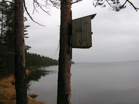 10.12.2006 11:28 lake Chornoe  оз. Черное