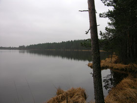 10.12.2006 11:28 lake Chornoe  оз. Черное