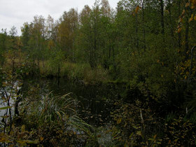 08.10.2005 12:37  Chornoe lake  Устье р. Железинка