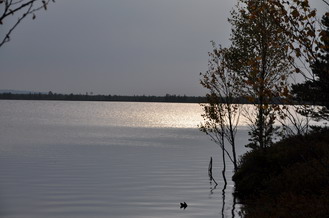 26.09.2010 15:55  Озеро Глухое северо-восточный берег