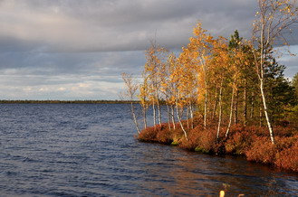03.10.2009  16:32 Озеро Литвиново