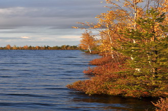03.10.2009  16:44 Озеро Литвиново