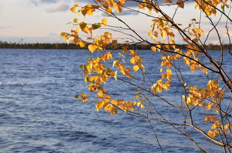 03.10.2009  16:46 Озеро Литвиново