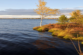03.10.2009  16:48 Озеро Литвиново