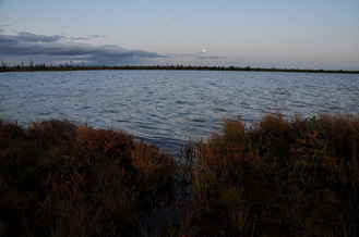 03.10.2009  17:12 Озеро Литвиново