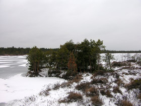 08.01.2008 13:04 lake Lystsovskoe  .  59o05.501'N 30o37.248'E