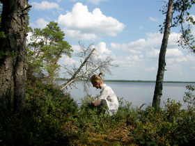 16.08.2007 12:04 Russia, SPb reg., Surovskoe lakes. СПб обл. оз. Суровское.