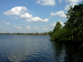 16.08.2007 12:48 Russia, SPb reg., Surovskoe lake. СПб обл. оз. Суровское.