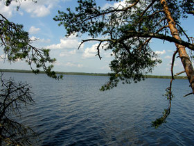 16.08.2007 12:50 Russia, SPb reg., Surovskoe lake. СПб обл. оз. Суровское.