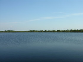 16.08.2007 10:20 Russia, SPb reg., Yazvinskoe lake. СПб обл. оз. Язвинское.