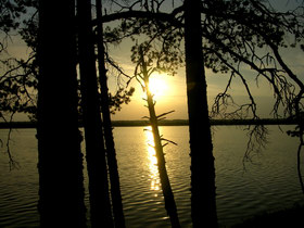 16.08.2007 18:44 Russia, SPb reg., Yazvinskoe lake.  . . .