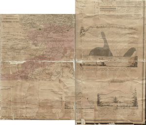 Карта 1852 года Обзорная карта oкрестности Гатчины